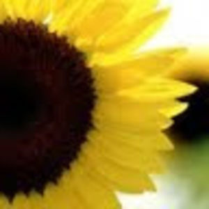 Meet your Posher, Esther